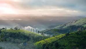 Ooty, Tamil Nadu